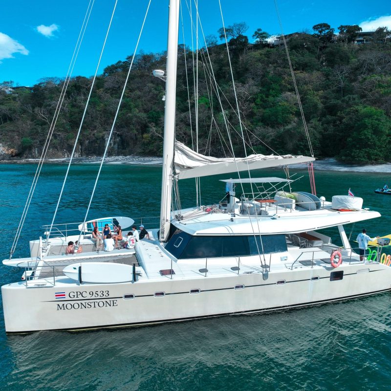 gallery catamaran